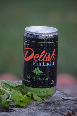 Delish Kombucha - Mint