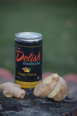 Delish Kombucha - Ginger